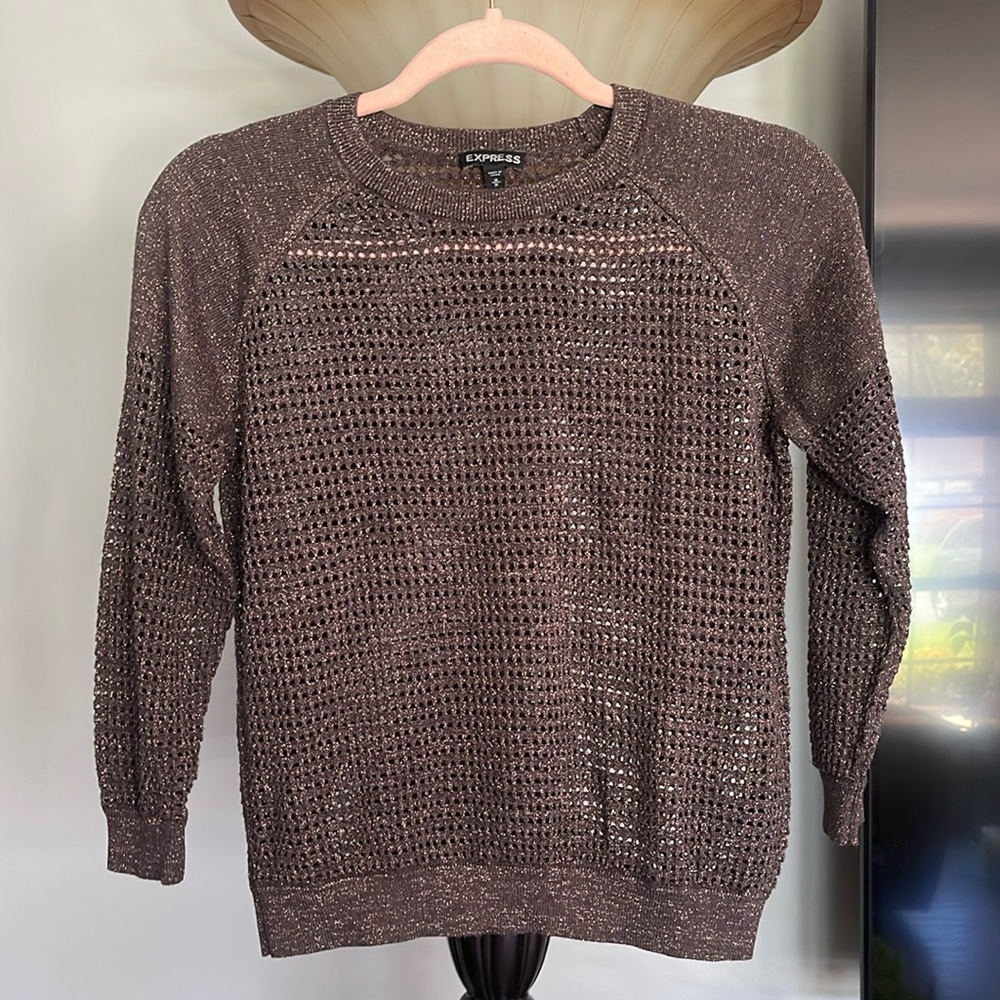 Express Brown Shimmer Sweater